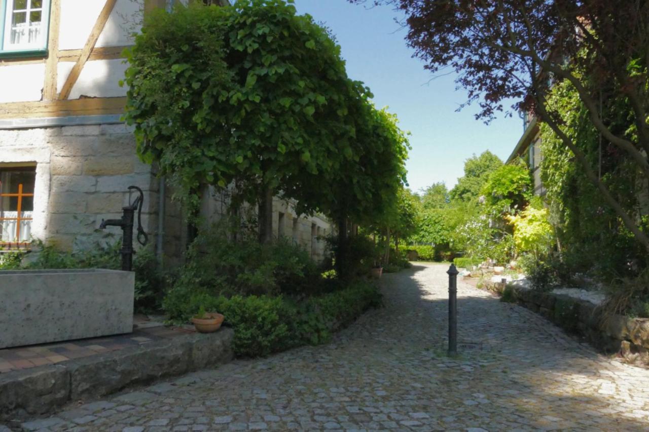 No.5 - Ferienwohnung Schkade Kleingiesshubel Exterior foto